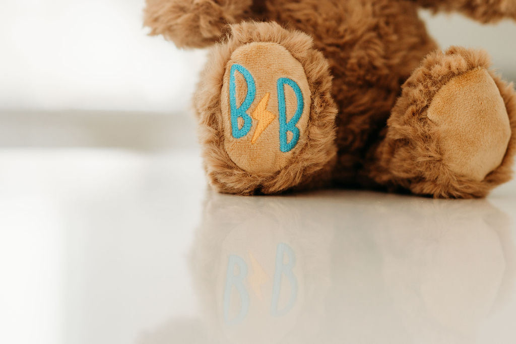 Addy the Advocate | Bear + Pennant