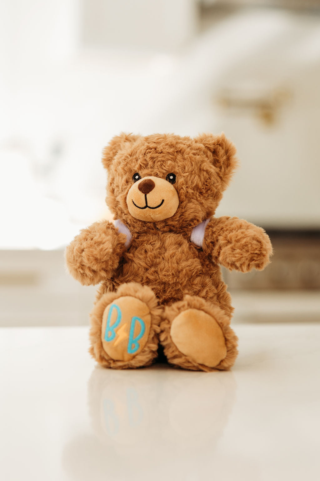 Addy the Advocate | Bear + Pennant